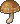 Inventory icon of Hazelnut Mushroom
